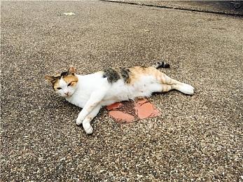 锻炼大脑 3D数独游戏《SudoKube》将于5月17日在Steam发售