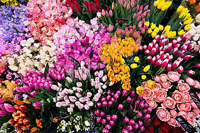 《影子武士3》上市宣传片公开 享受刀刀见血的快感