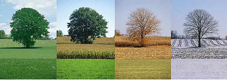 原演员去世 《乐高地平线大冒险》将重塑角色“赛伦斯”